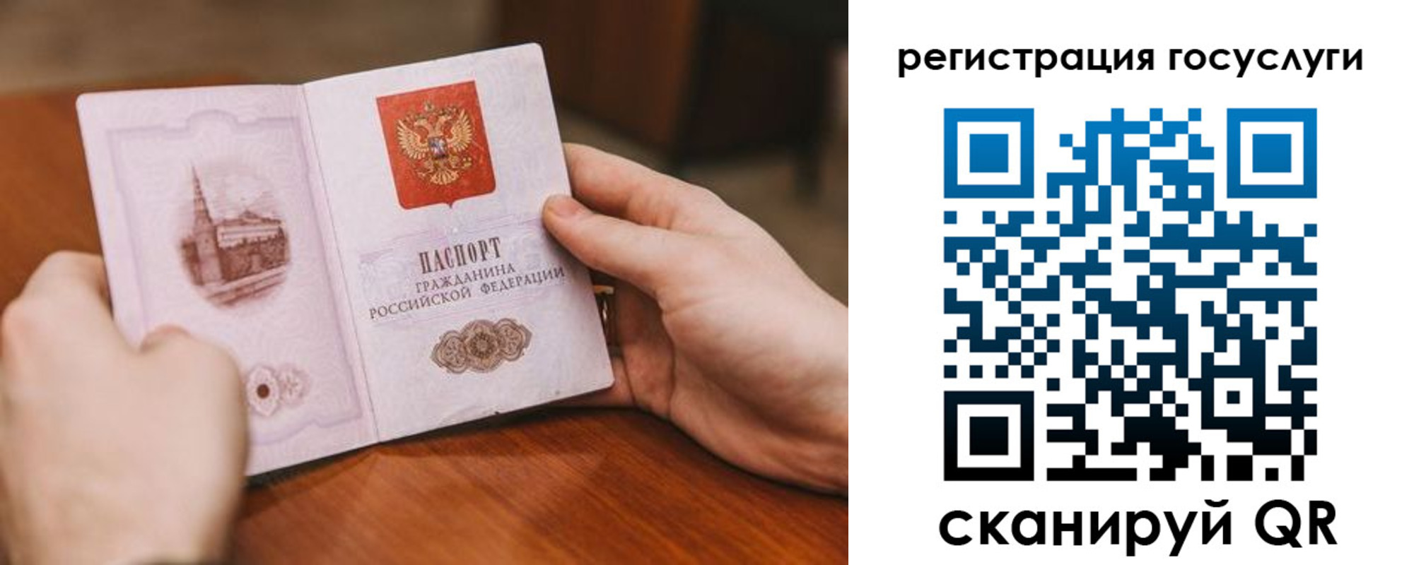 прописка поиск в Светлом